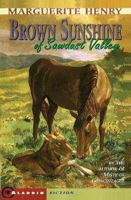 Book cover for Brown Sunshine of Sawdust Valley