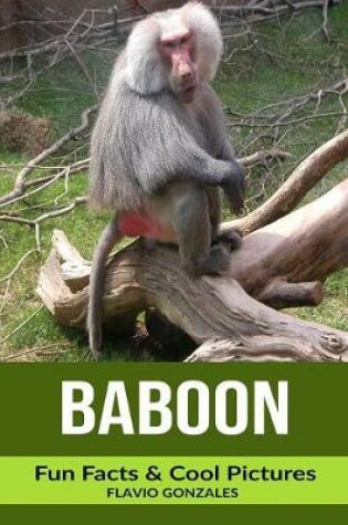 Cover of Baboon