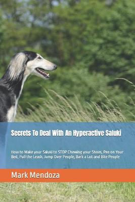 Book cover for Secrets To Deal With An Hyperactive Saluki