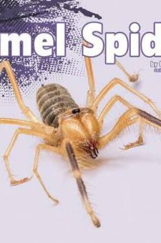 Cover of Camel Spiders