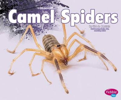 Book cover for Camel Spiders