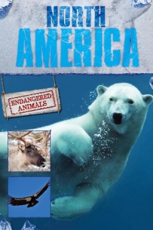 Cover of North America