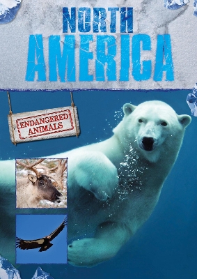 Book cover for North America