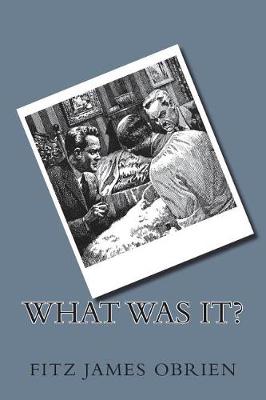 Book cover for What Was It?