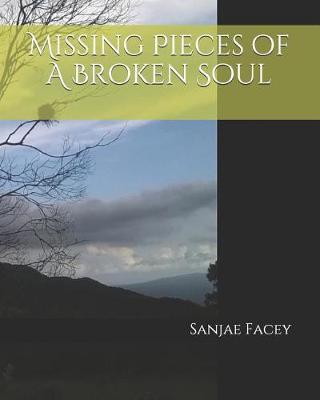 Cover of Missing Pieces of a Broken Soul