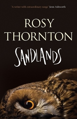 Book cover for Sandlands