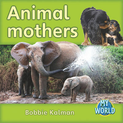 Book cover for Animal Mothers
