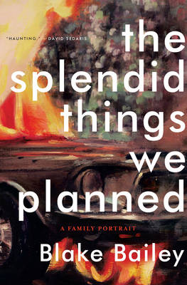 Book cover for The Splendid Things We Planned