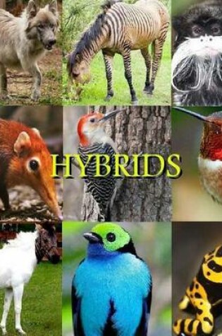 Cover of Hybrids