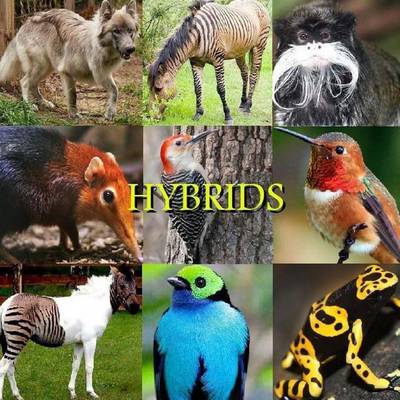 Book cover for Hybrids