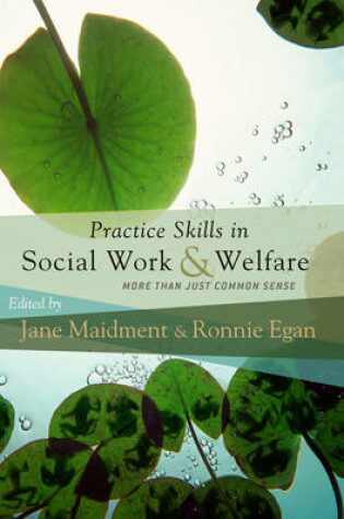 Cover of Practice Skills in Social Work and Welfare