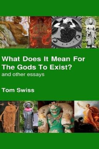 Cover of What Does It Mean for the Gods to Exist?: And Other Essays