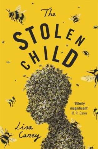 Cover of The Stolen Child