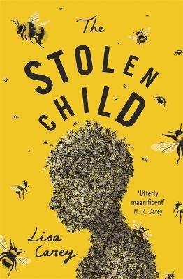 Book cover for The Stolen Child