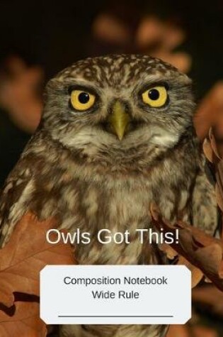 Cover of Owls Got This!