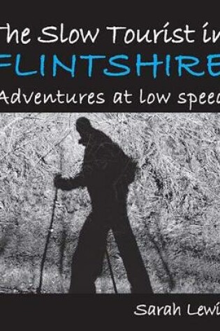 Cover of The Slow Tourist in Flintshir