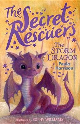 Book cover for The Storm Dragon