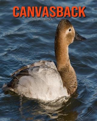 Book cover for Canvasback