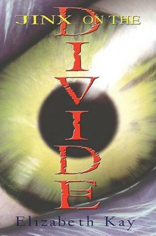 Cover of Jinx on the Divide
