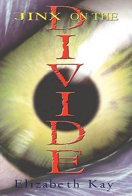 Book cover for Jinx on the Divide