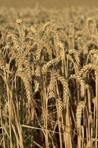 Cover of Wheat Ready to be Harvested Journal