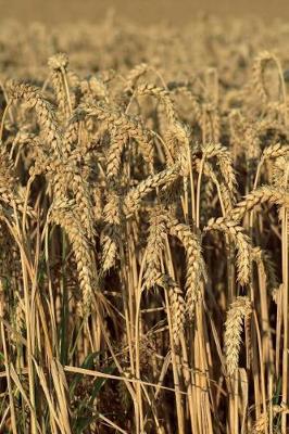 Book cover for Wheat Ready to be Harvested Journal