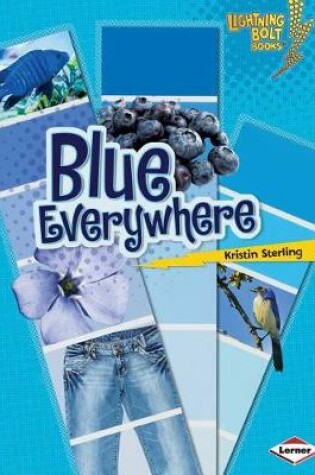 Cover of Blue Everywhere