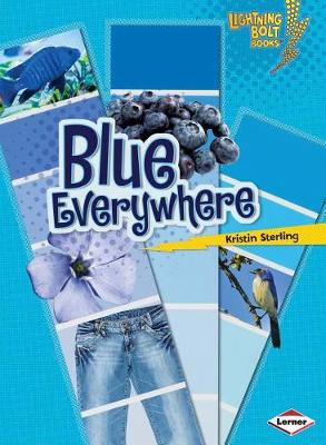 Book cover for Blue Everywhere