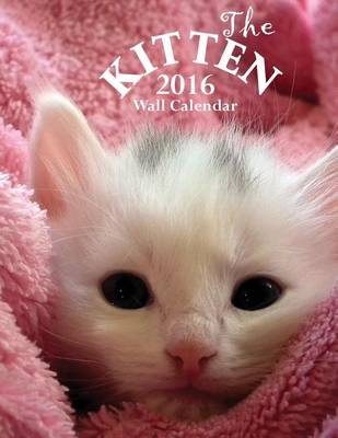 Book cover for The Kitten 2016 Wall Calendar