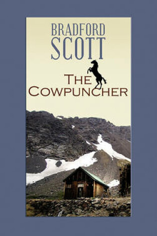 Cover of The Cowpuncher
