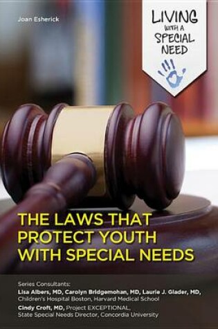 Cover of Laws That Protect Youth with Special Needs