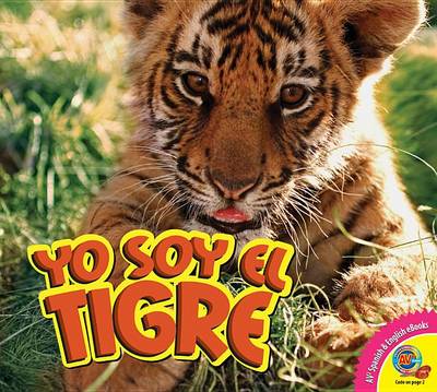 Cover of Yo Soy el Tigre, With Code