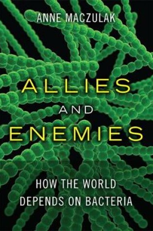 Cover of Allies and Enemies