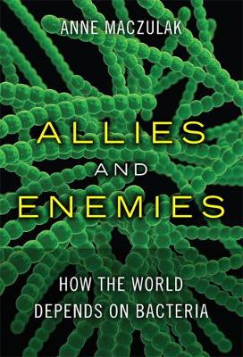 Book cover for Allies and Enemies