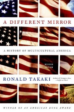 Cover of A Different Mirror