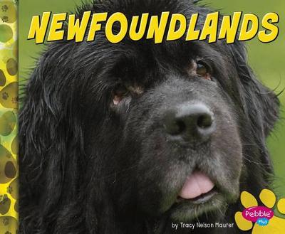 Book cover for Newfoundlands