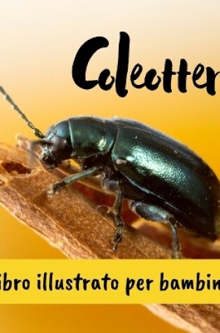 Cover of Coleotteri