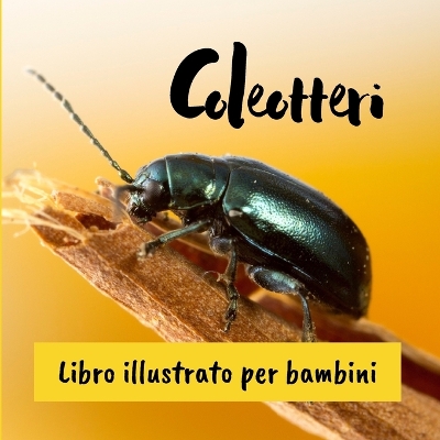 Cover of Coleotteri