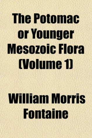 Cover of The Potomac or Younger Mesozoic Flora (Volume 1)