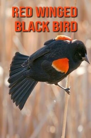 Cover of Red Winged Black Bird