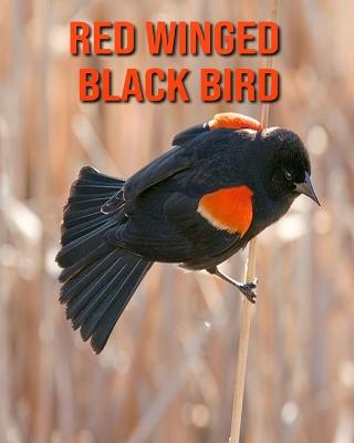 Book cover for Red Winged Black Bird