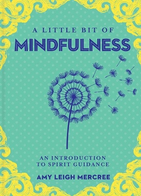 Book cover for Little Bit of Mindfulness, A