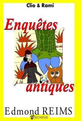 Book cover for Enquetes Antiques