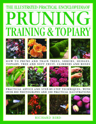 Cover of Illustrated Practical Encyclopedia of Pruning, Training and Topiary