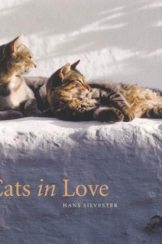 Cover of Cats in Love