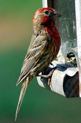 Cover of Red-Headed Finch at the Bird Feeder Journal