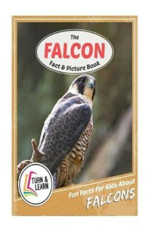 Cover of The Falcon Fact and Picture Book