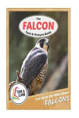 Book cover for The Falcon Fact and Picture Book