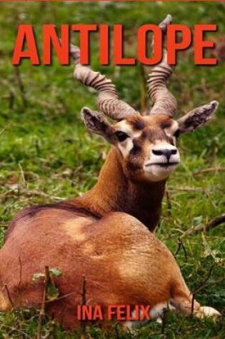Cover of Antilope