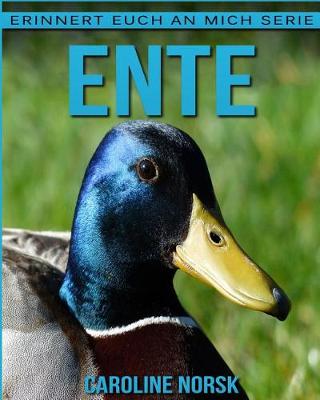 Book cover for Ente